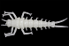 Силиконовая приманка LureMax STONE FLY 1,5"/4,5 см,009-White UV (10 шт)