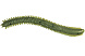 Червь LureMax RAG WORM 3''/7см, LSRW3-022 Olive (10 шт.)