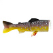 Запасное тело Westin Tommy the Trout 250mm Brook Trout