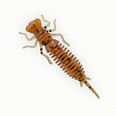 Силиконовая приманка Fanatik Larva 2 цвет 002 (8шт)