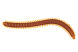Червь LureMax RAG WORM 3''/7см, LSRW3-003 Motor Oil (10 шт.)
