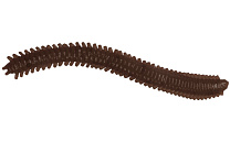 Червь LureMax RAG WORM 3''/7см, LSRW3-018 Worm Brown (10 шт.)