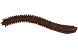Червь LureMax RAG WORM 3''/7см, LSRW3-018 Worm Brown (10 шт.)