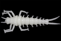 Силиконовая приманка LureMax STONE FLY 2,5"/6,5 см,009-White UV (8 шт)