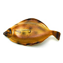 Джиггер Westin Flat Matt 400гр Halibut Alert