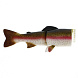 Запасное тело Westin Tommy the Trout 250mm Rainbow Trout