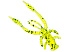 Рачек LureMax VOODOO BUG 2''/5см, LSVB2-002 Lime pepper (10 шт.)