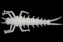 Силиконовая приманка LureMax STONE FLY 1,5"/4,5 см,009-White UV (10 шт)