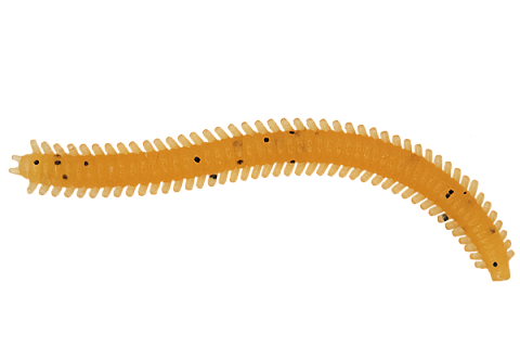 Червь LureMax RAG WORM 3''/7см, LSRW3-004 Caramel Oil (10 шт.)