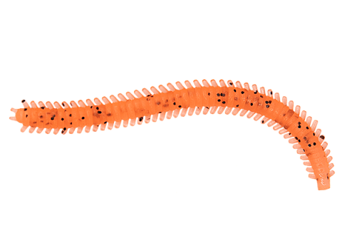 Червь LureMax RAG WORM 3''/7см, LSRW3-008 Fire Carrot (10 шт.)