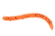 Червь LureMax RAG WORM 3''/7см, LSRW3-008 Fire Carrot (10 шт.)